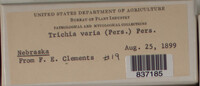 Image Associated With the Occurence